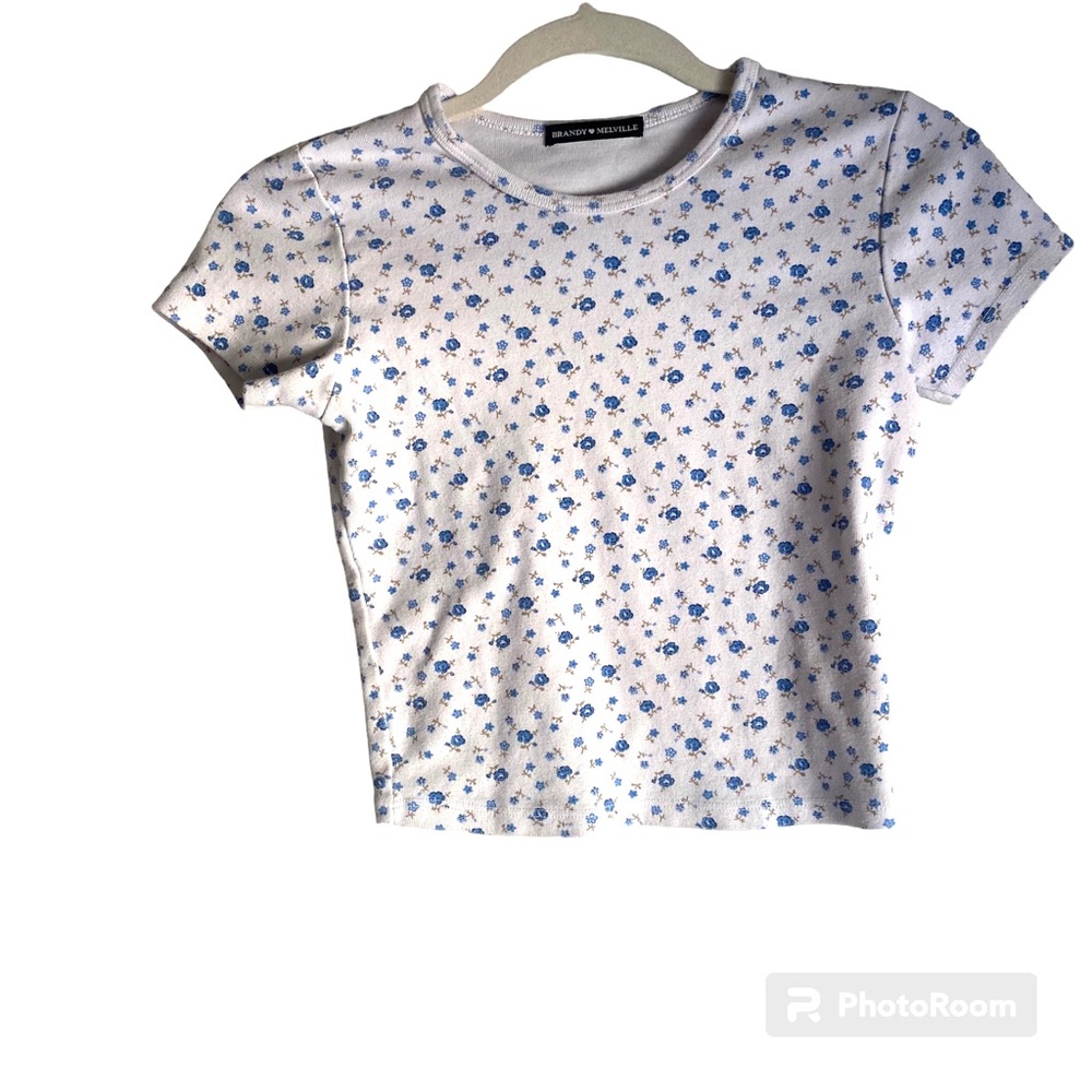 Brandy Melville blue floral top